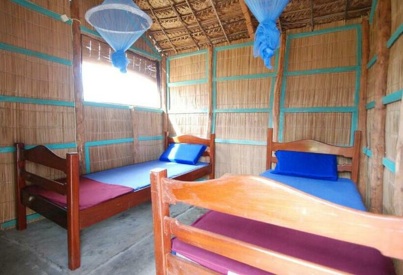 اتاق استاندارد با سرویس بهداشتی مشترک, Pariango Beach Motel