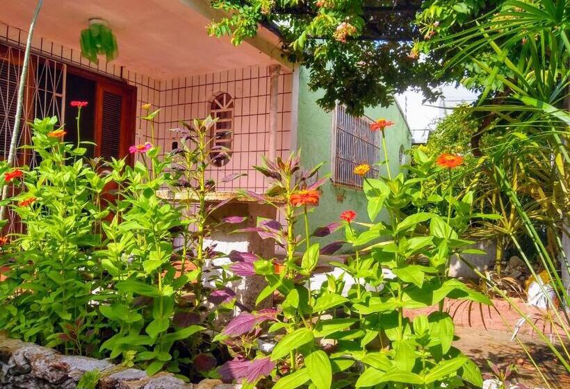 Семейный Номер, Praieiro Hostel Albergue