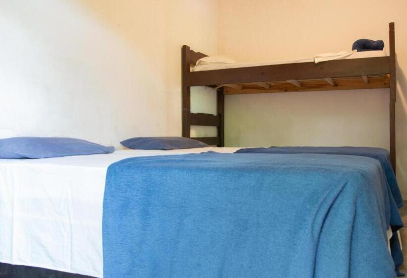 اتاق استاندارد چهار تخته, Sambaqui Hostel