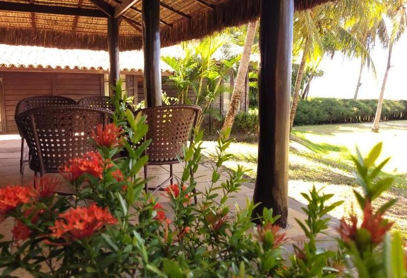 اتاق لوکس خانوادگی, Siri Paraiso