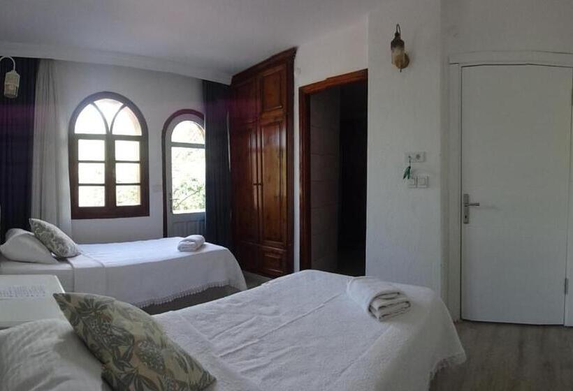 Номер Стандарт Вид на Горы, Villa Panorama