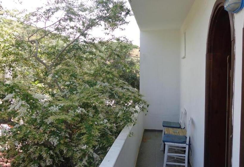 غرفة قياسية مطلة على الجبل, Villa Panorama