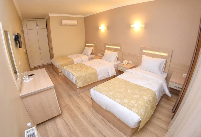 اتاق استاندارد سه نفره, Sonerbey Otel