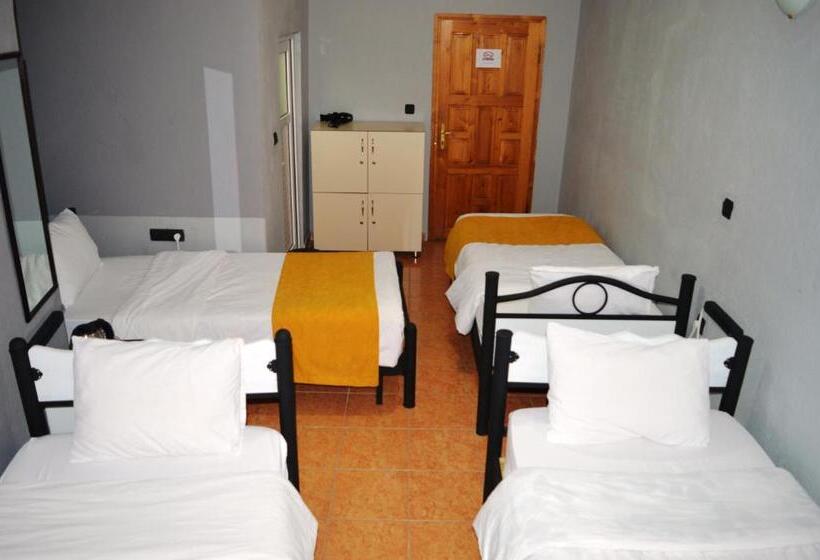 スタンダード４人部屋, Hostel Terra Vista