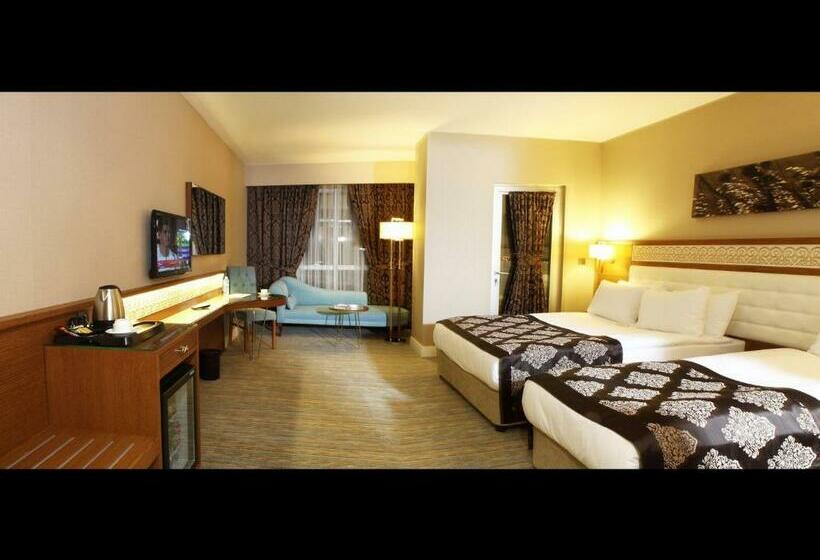 اتاق استاندارد, Sivas Revag Otel