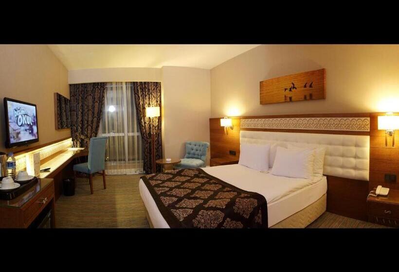 اتاق استاندارد یک نفره, Sivas Revag Otel