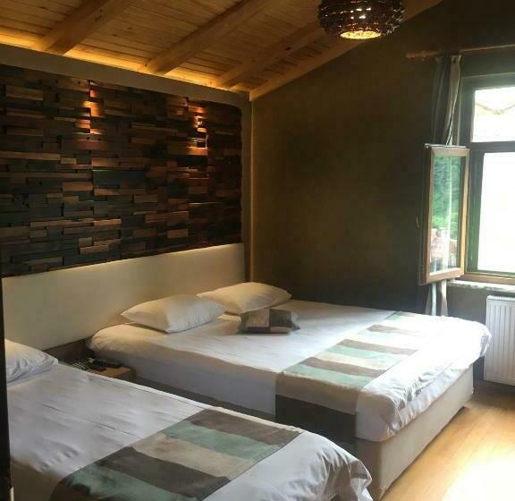 اتاق استاندارد سه نفره, Ayderoom