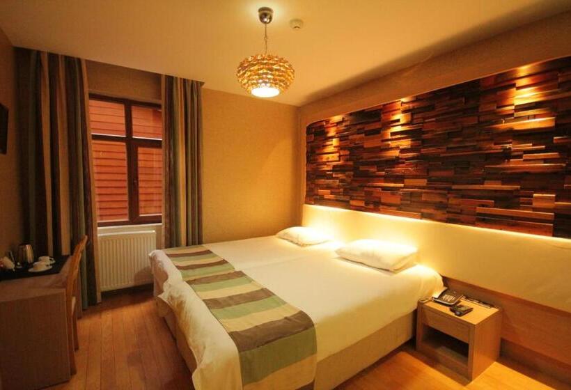اتاق استاندارد, Ayderoom