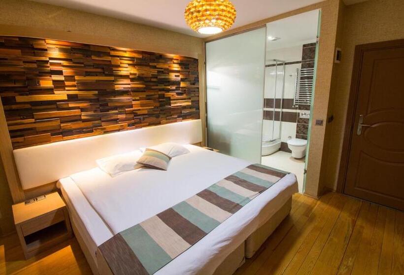 اتاق استاندارد, Ayderoom