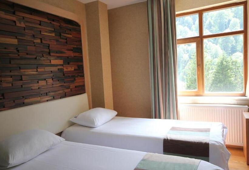 Deluxe Room Mountain View, Ayderoom