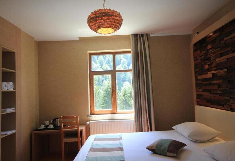 Deluxe Room Mountain View, Ayderoom
