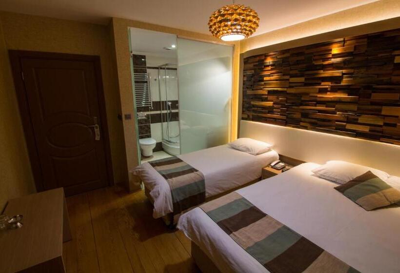 اتاق لوکس سه تخته, Ayderoom