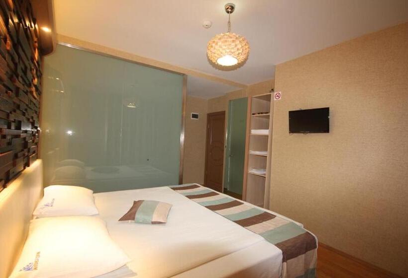 Deluxe Room Mountain View, Ayderoom