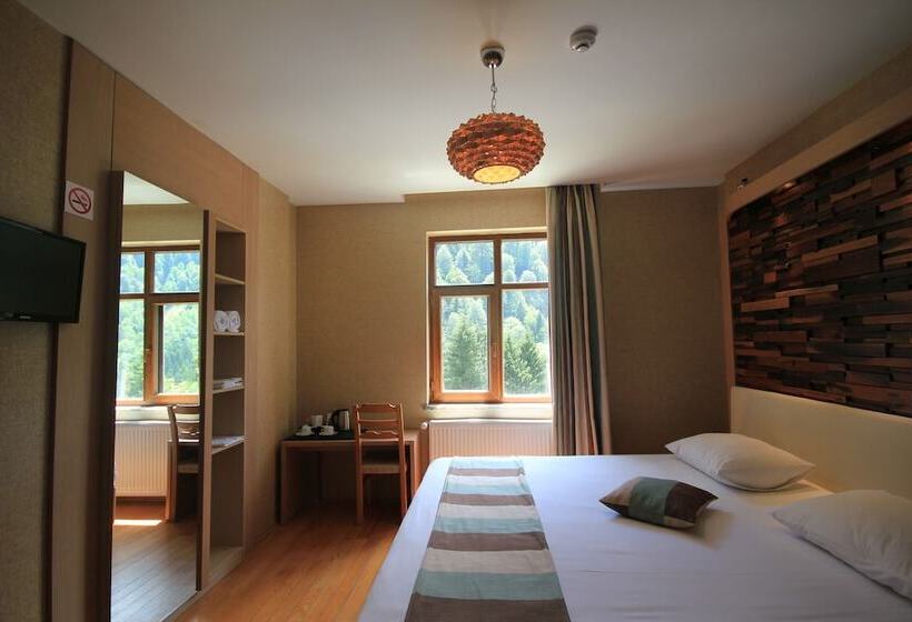 Deluxe Room Mountain View, Ayderoom