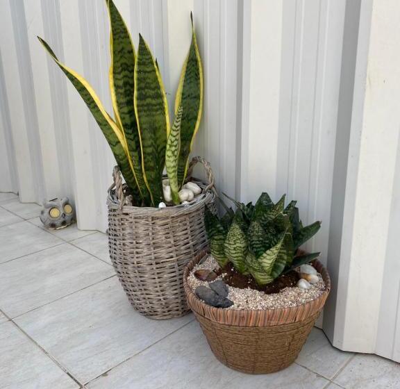 침실 1개 주택, Zimmer Dora