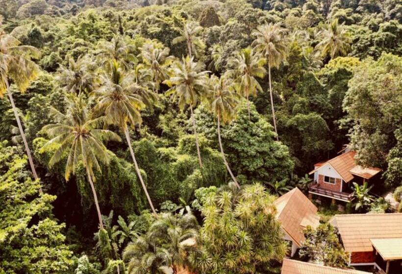 Бунгало Deluxe, Adang Island Resort