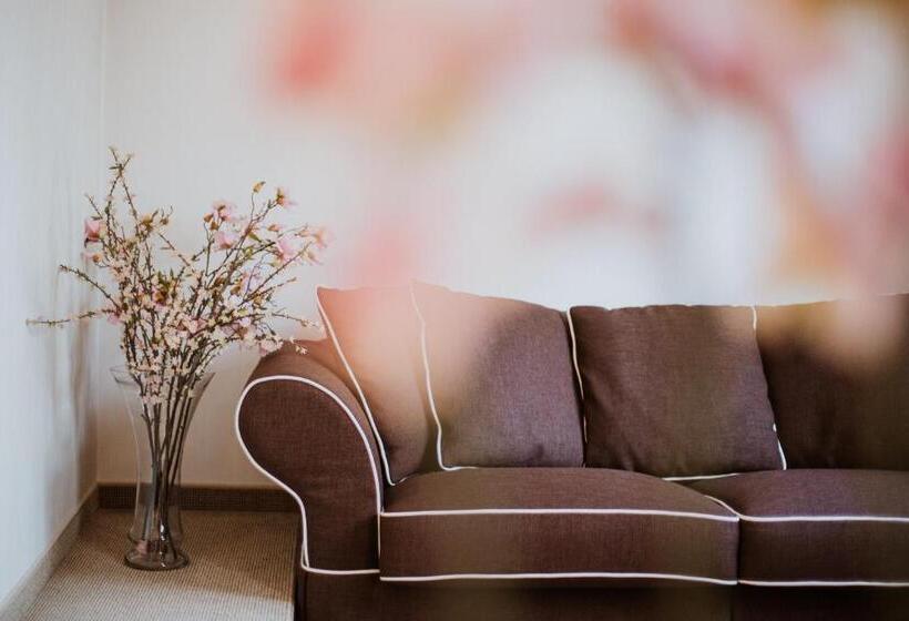 اتاق سوپریور, 1000 Ruza