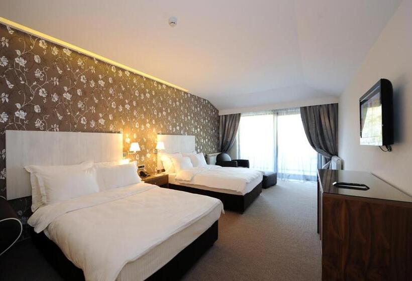 اتاق سوپریور, 1000 Ruza