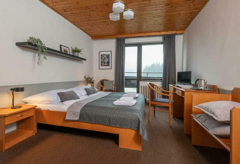 Номер Стандарт с Балконом, Wellness Hotel šedý Vlk