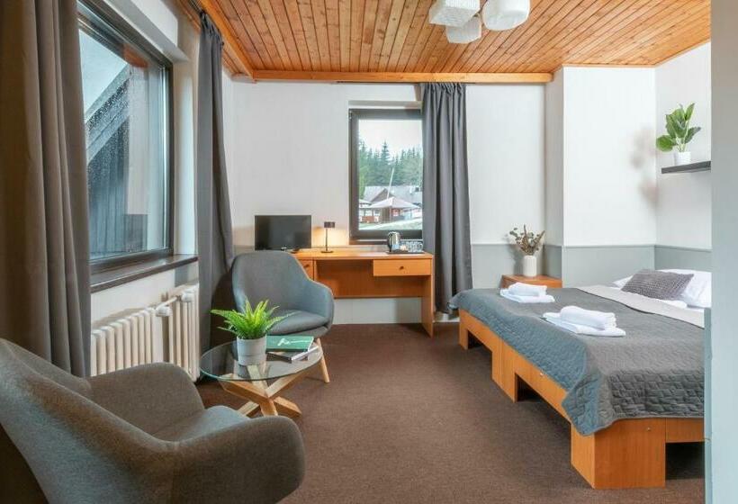 Номер Стандарт, Wellness Hotel šedý Vlk