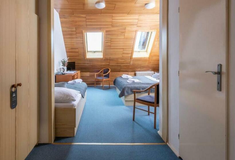 Номер Стандарт Трехместный, Wellness Hotel šedý Vlk