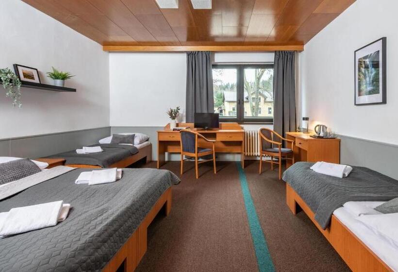Четырехместный Номер Стандарт с Балконом, Wellness Hotel šedý Vlk