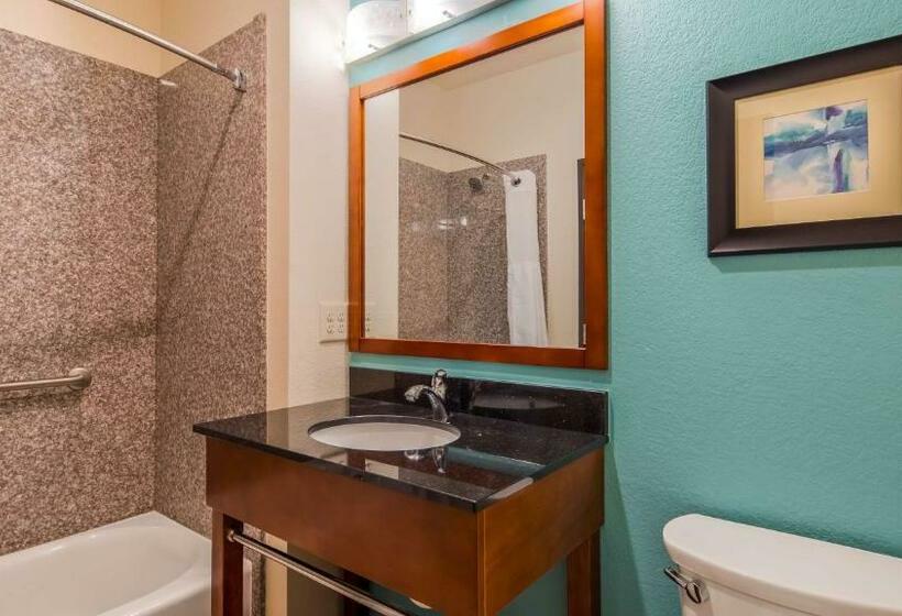 스탠다드 룸 킹사이즈 침대, Best Western Plus/executive Residency Elk City
