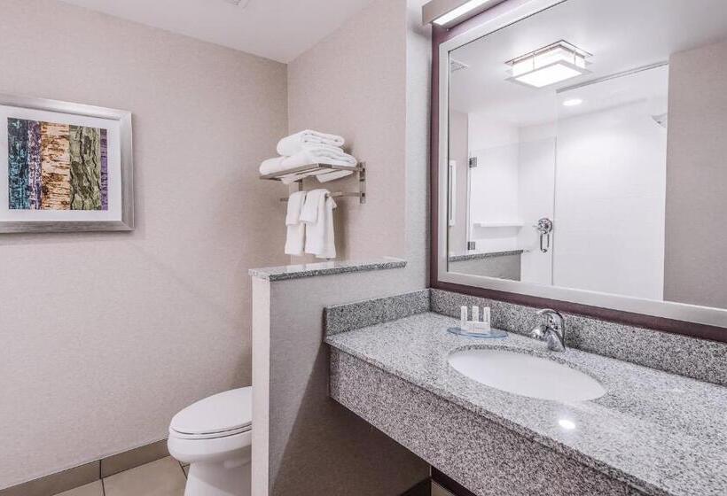 Standard Szoba King Size Bed, Fairfield Inn & Suites By Marriott Chicago Schaumburg