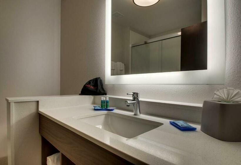 Люкс Кровать Кинг, Holiday Inn Express & Suites   Mount Vernon, An Ihg