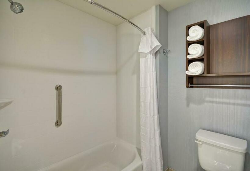 带大床的套房, Homewood Suites By Hilton Phoenix Tempe Asu Area