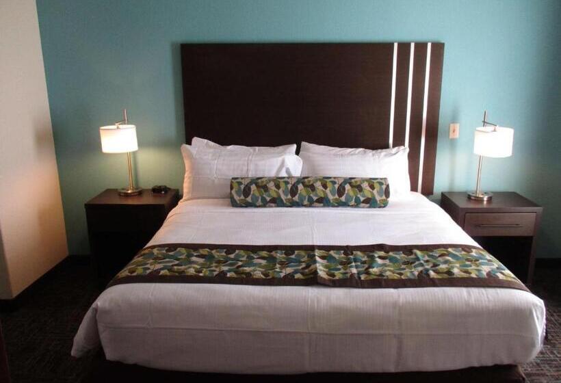 스탠다드 룸 킹사이즈 침대, Best Western Plus/executive Residency Elk City