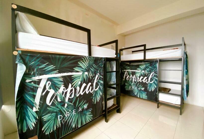 تختخواب در اتاق مشترک, The Way Hostel & Bar
