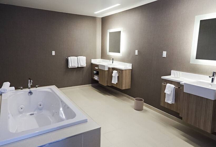 스탠다드 스튜디오, Springhill Suites By Marriott Somerset Franklin Township