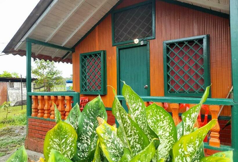 Апартаменты 1 Спальня, Cabaña Playa Ladrilleros
