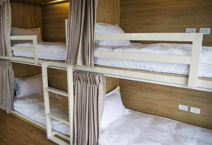 تختخواب در اتاق مشترک, Paper Plane Hostel