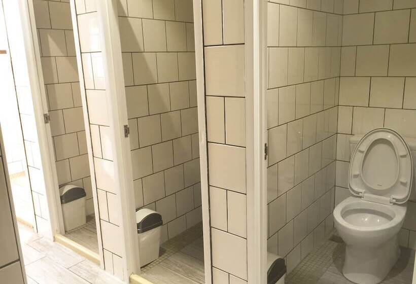 تختخواب در اتاق مشترک, Paper Plane Hostel