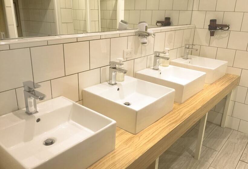 اتاق استاندارد چهارنفره با سرویس بهداشتی مشترک, Paper Plane Hostel
