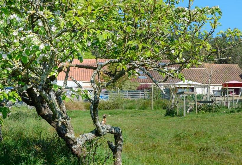 Номер Стандарт, La Chevrerie