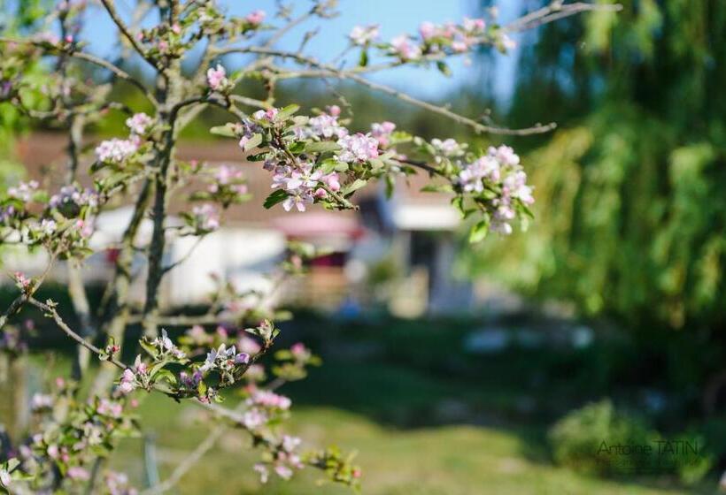 Студио Стандарт Кровать Кинг, La Chevrerie
