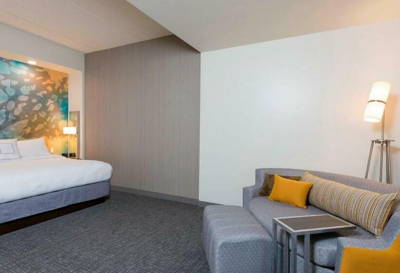 Стандартный Номер Кровать Кинг, Courtyard By Marriott Mt. Pleasant At Central Michigan University