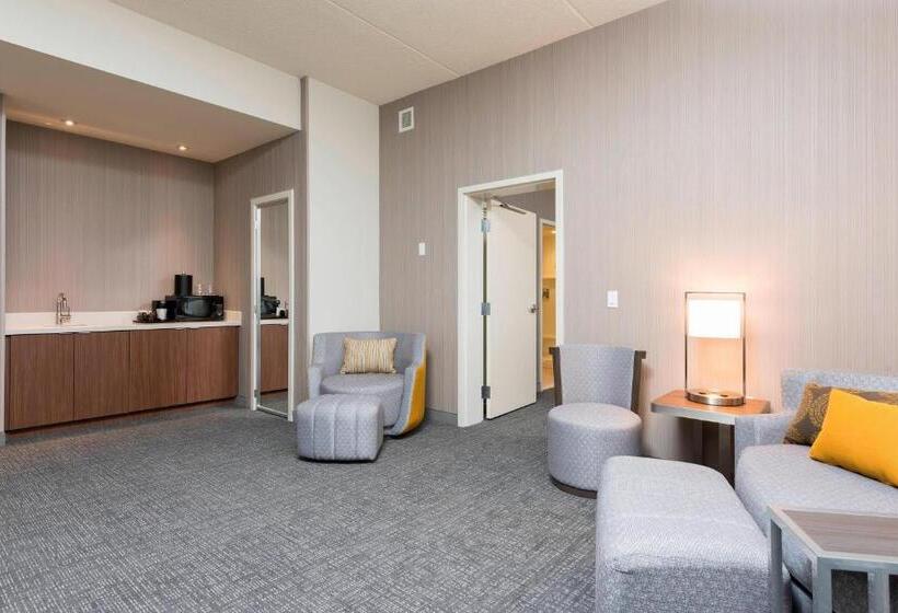 Люкс, Courtyard By Marriott Mt. Pleasant At Central Michigan University