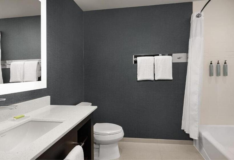 Люкс Кровать Кинг, Residence Inn By Marriott Dallas Grand Prairie