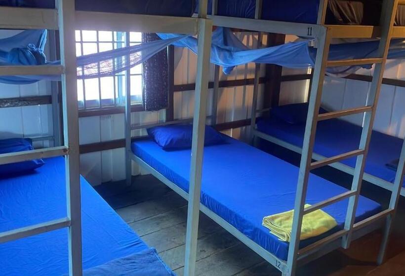 Cama em Quarto Partilhado, The Hornbill Hostel