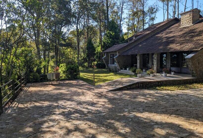 Номер Superior, Avadale Munnar