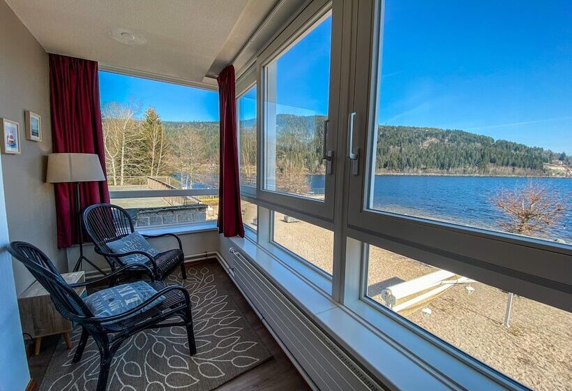 Апартаменты Комфорт 1 Спальня, Appart Hôtel Lido Au Bord De L Eau