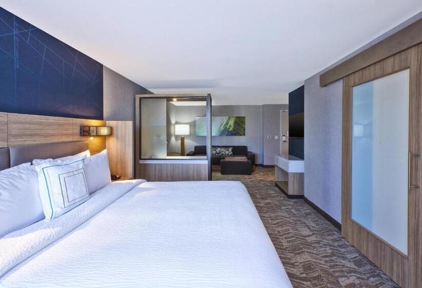 Люкс Кровать Кинг, Springhill Suites By Marriott St. Joseph Benton Harbor