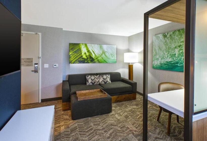 Номер Стандарт, Springhill Suites By Marriott St. Joseph Benton Harbor
