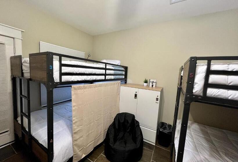 디럭스 4인 룸, Mycrib Houston Hostel