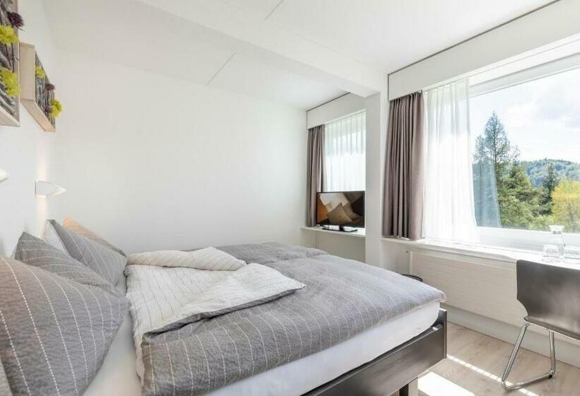 Номер Стандарт, Allegro Einsiedeln