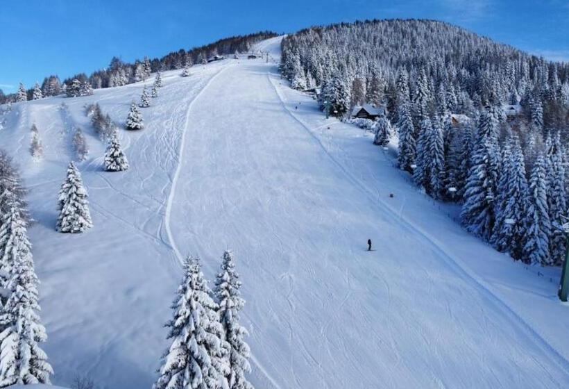 Семейный Номер Вид на Горы, Alpenrose Gerlitzen